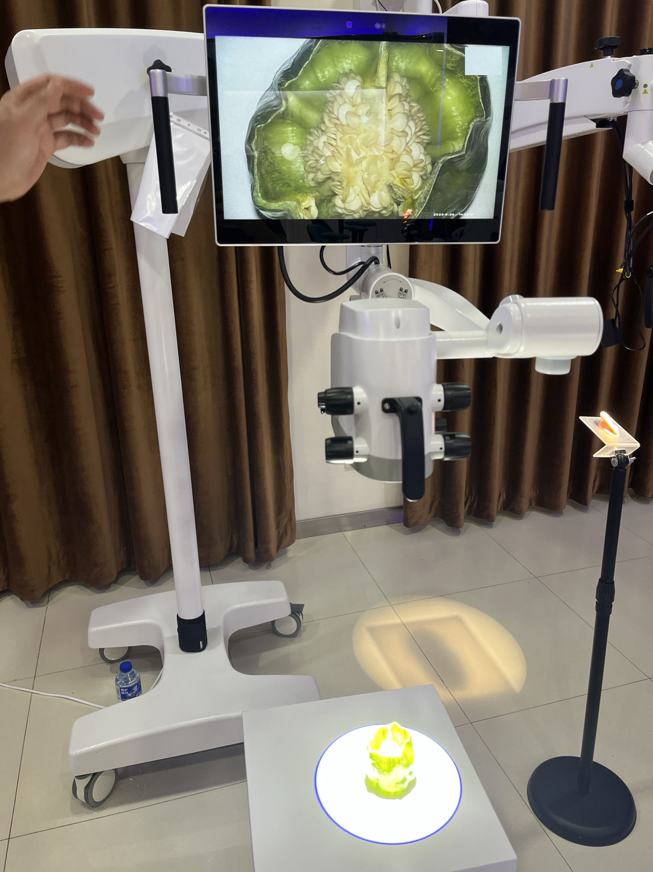 215aa20240421124459920.png 215aa20240421124459920.png